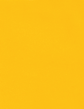 Sunflower Yellow 100lb 11 x 17 Cardstock