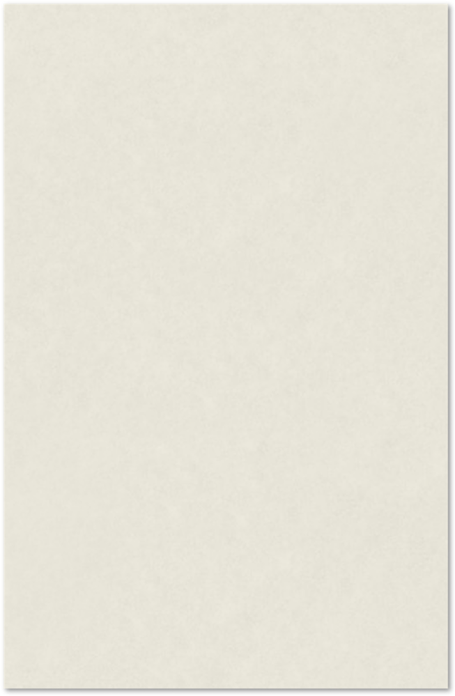 Natural White 100% Cotton 92lb 11 x 17 Cardstock