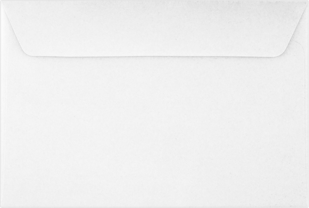 Tax Return 24lb 6 x 9 Booklet Envelopes