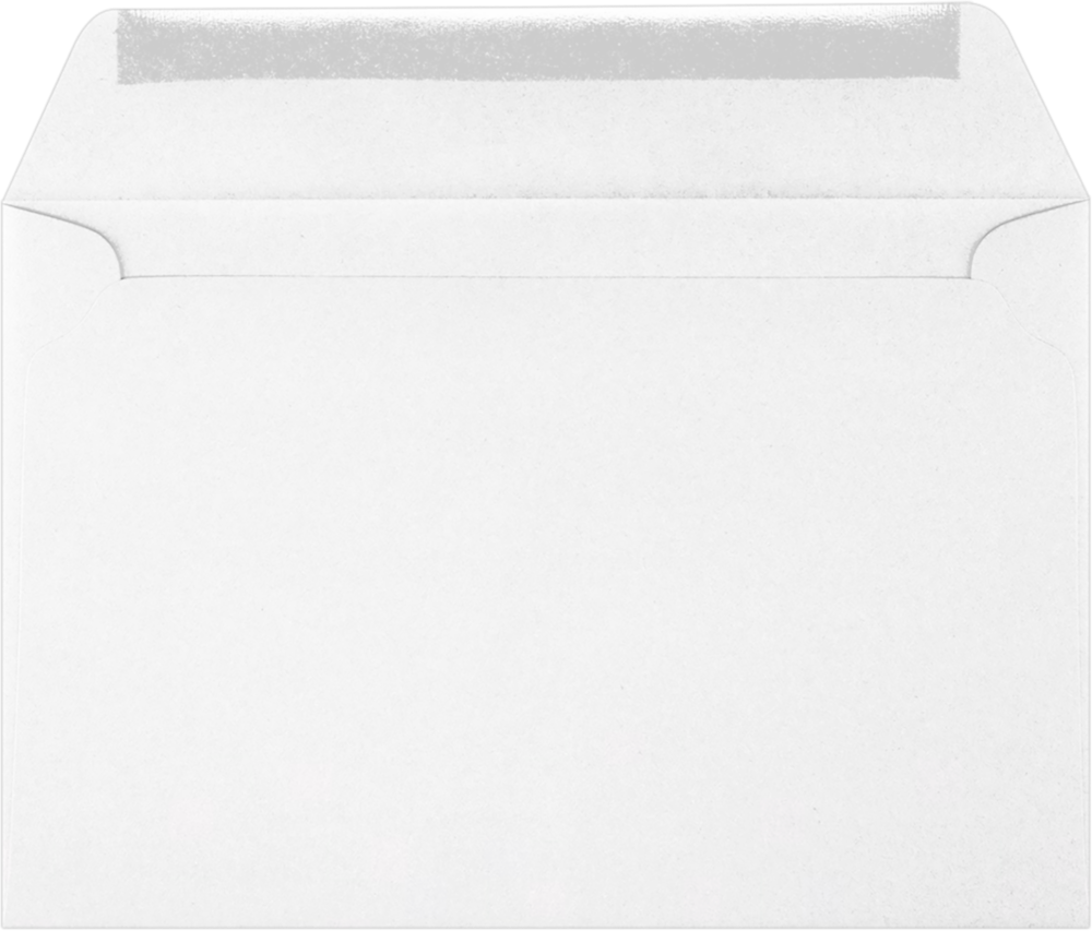 Tax Return 24lb 6 x 9 Booklet Envelopes