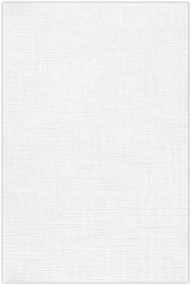 White Linen 100lb 12 x 18 Cardstock