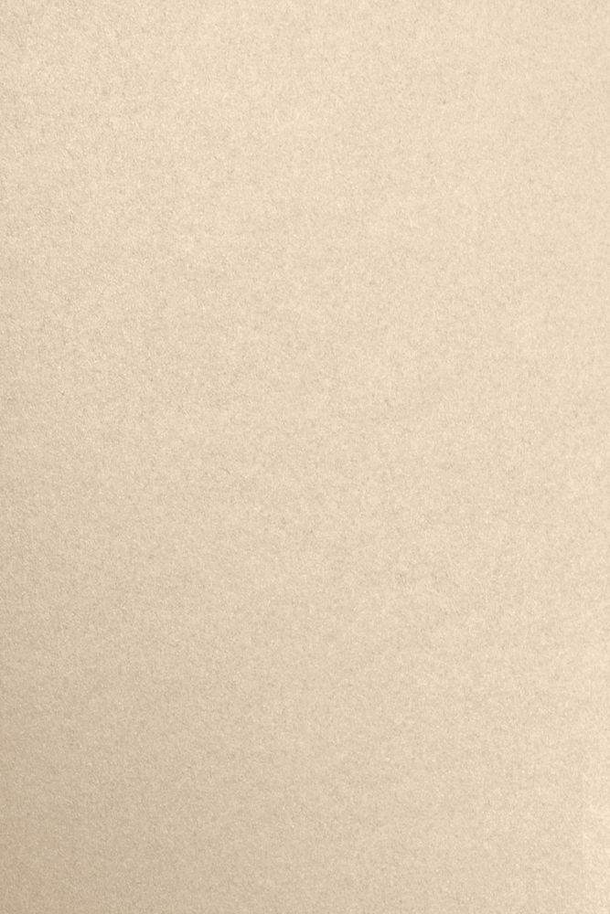 Light Brown Taupe Metallic 32lb 12 x 18 Paper