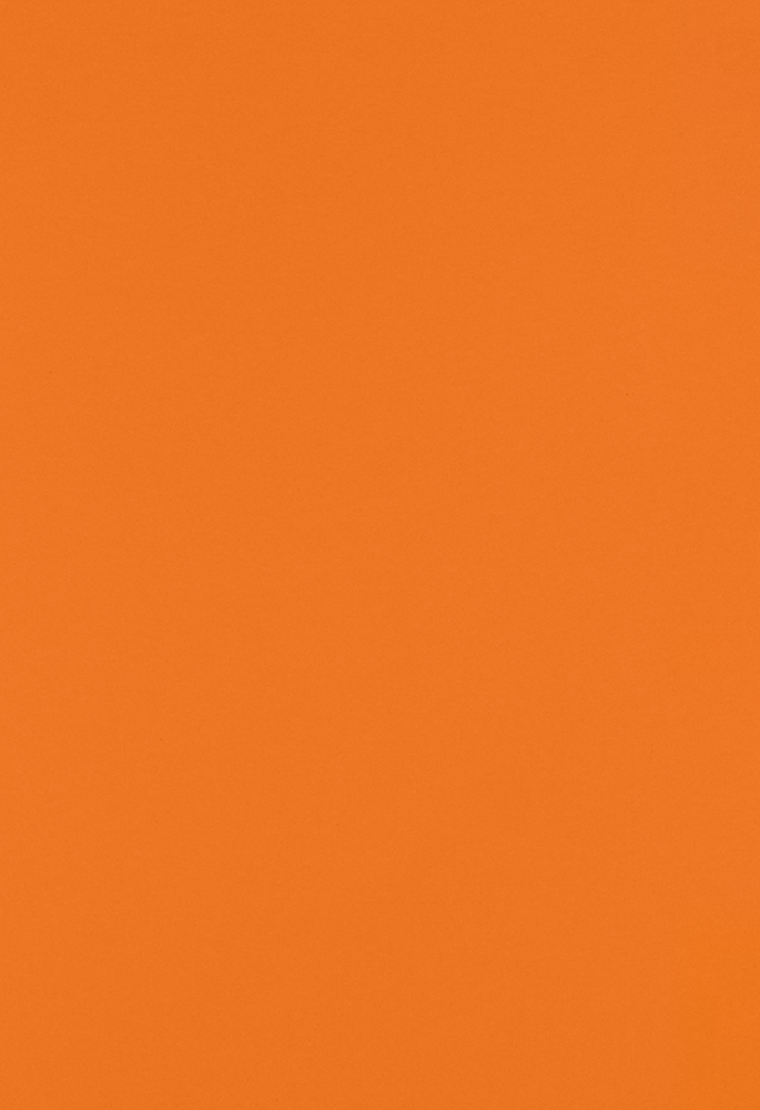 Mandarin Orange 100lb 13 x 19 Cardstock
