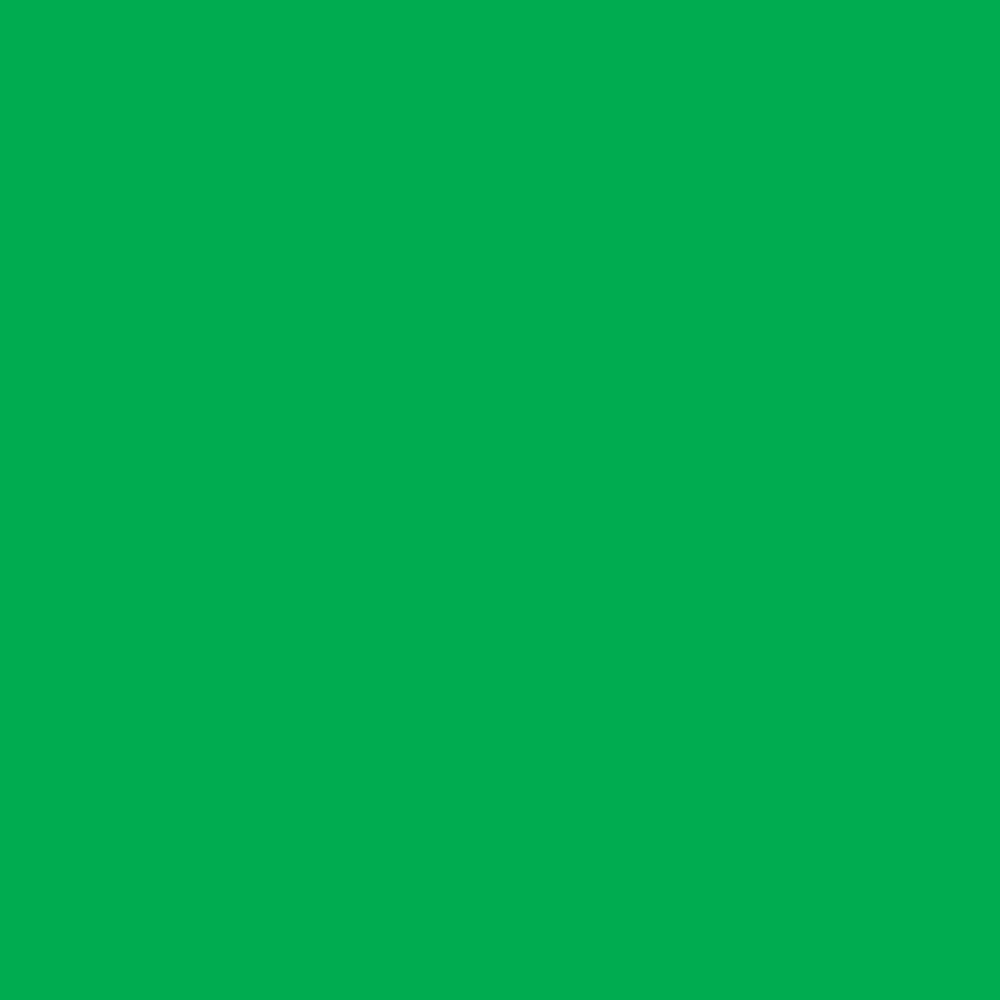 Green Matte Bulk Wrapping Paper (1666 Sq Ft)