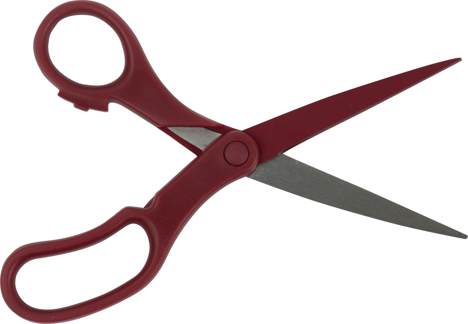 Precision Scissors - Burgundy
