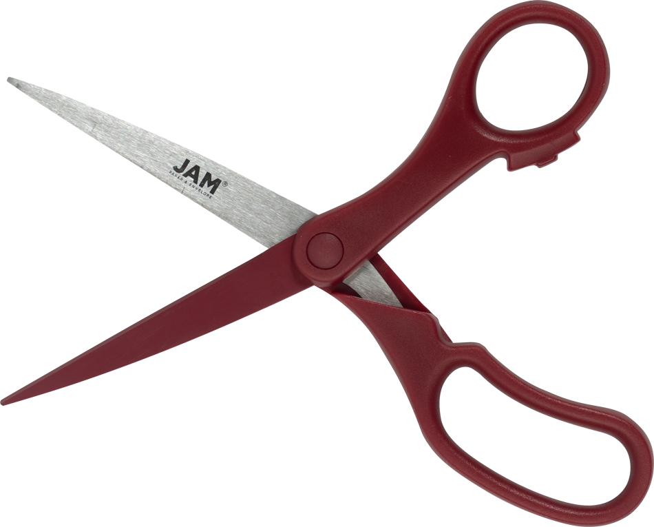 Precision Scissors - Burgundy