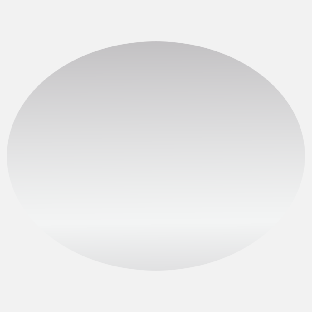 Silver Foil 2 x 3 Inch Roll of Oval Labels - Durable Metallic