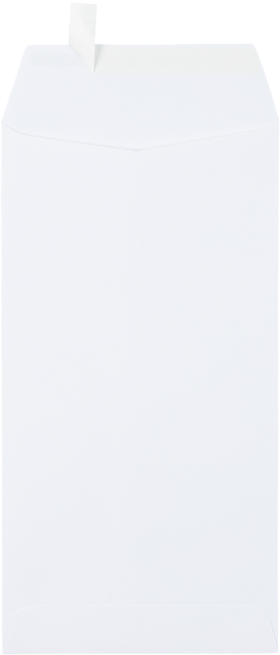 White 28lb 6 x 11 1/2 Policy Envelopes with Peel & Seal