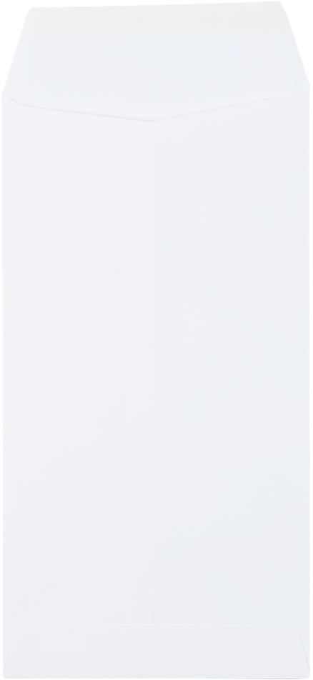 White 28lb 6 x 11 1/2 Policy Envelopes with Peel & Seal