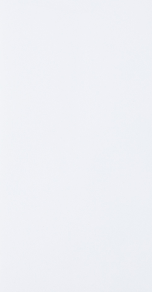 White 28lb 6 x 11 1/2 Policy Envelopes with Peel & Seal
