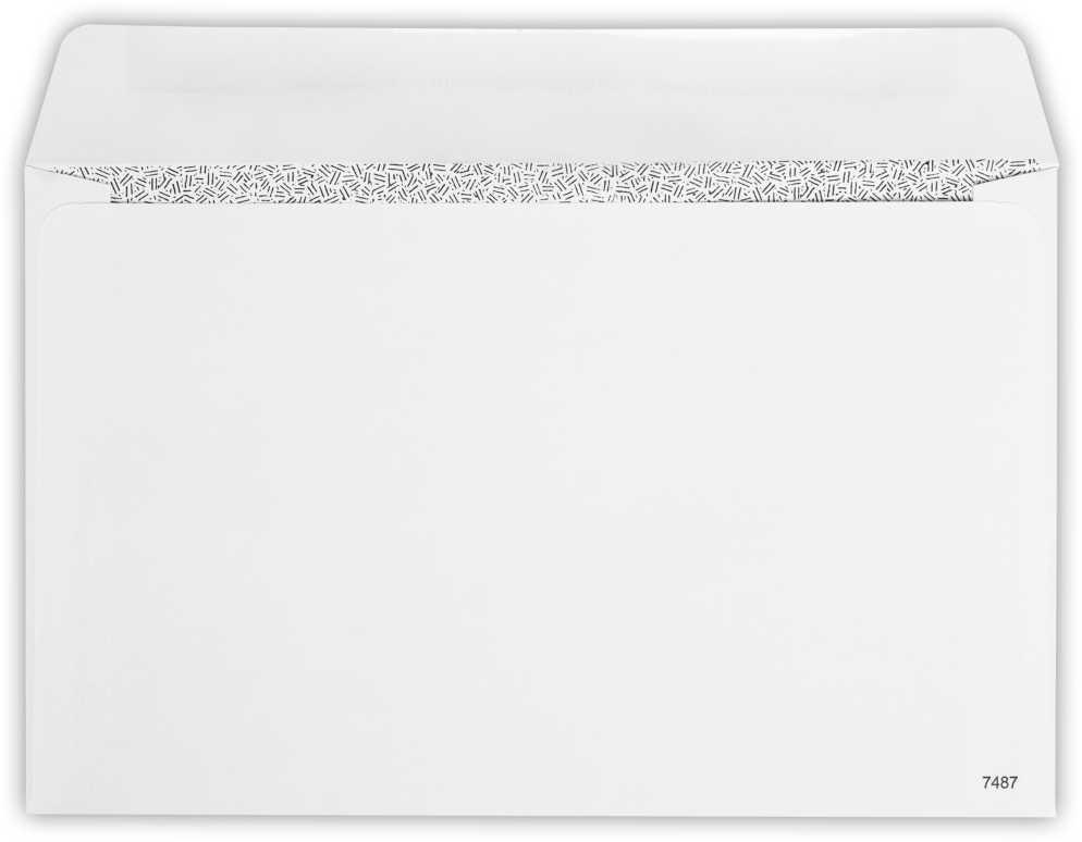 White with Security Tint 24lb W-2 /1099 Double Window Envelopes (5 5/8 x 9)