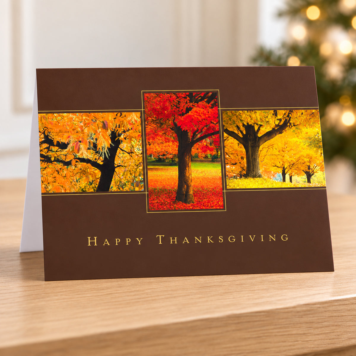 7 x 5 Foldover Card Set 80lb - Thanksgiving Trio