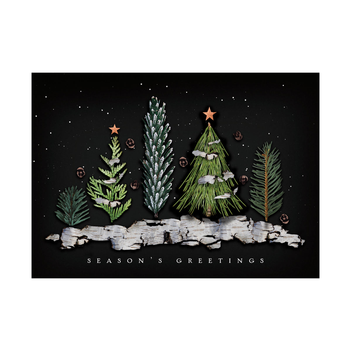 7 x 5 Foldover Card Set 80lb - Real Greenery Treeline