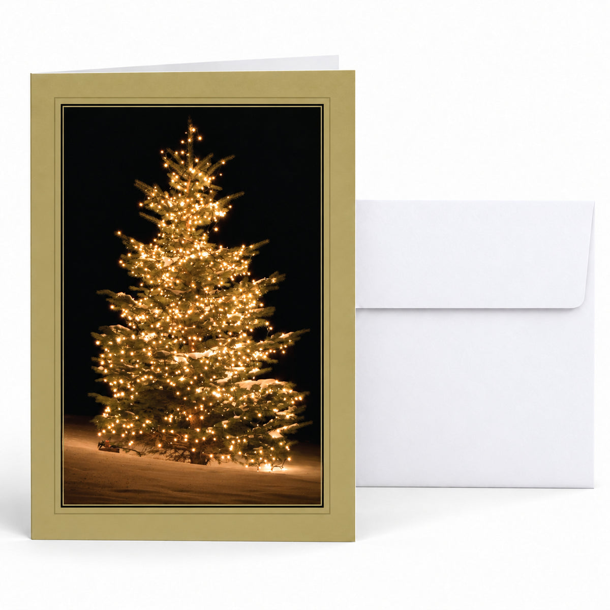 5 x 7 Foldover Card Set 80lb - Frosted Elegance
