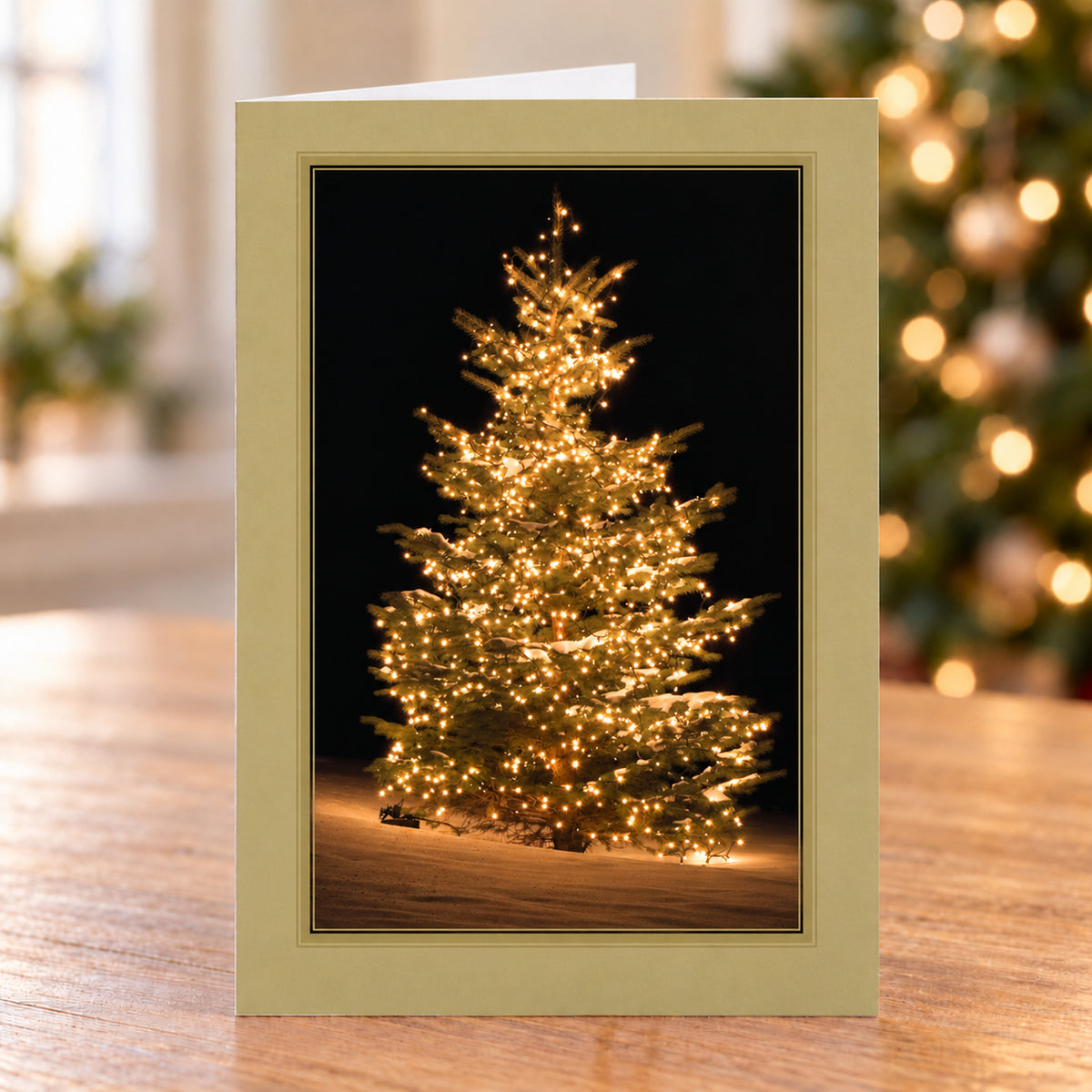 5 x 7 Foldover Card Set 80lb - Frosted Elegance