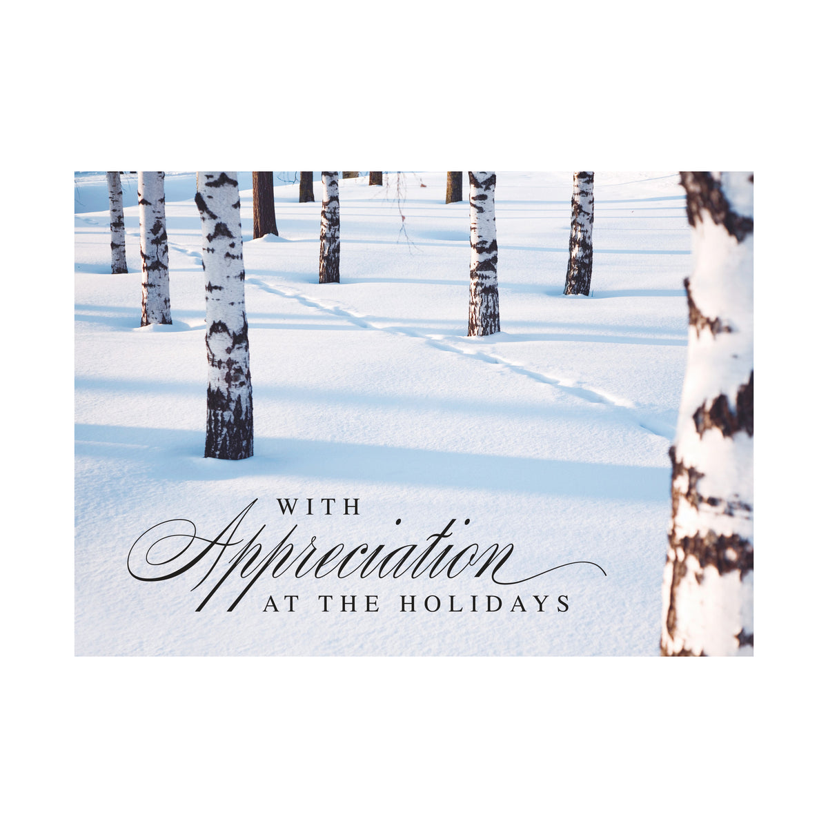 7 x 5 Foldover Card Set 80lb - Winter Gratitude