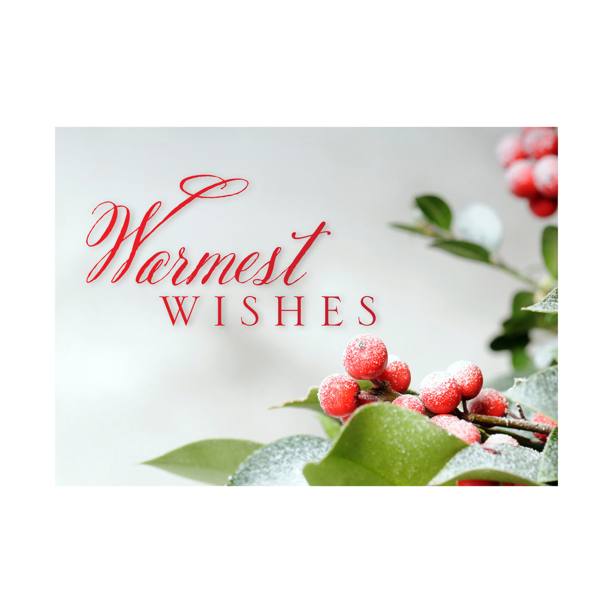 7 x 5 Foldover Card Set 80lb - Frosted Greenery