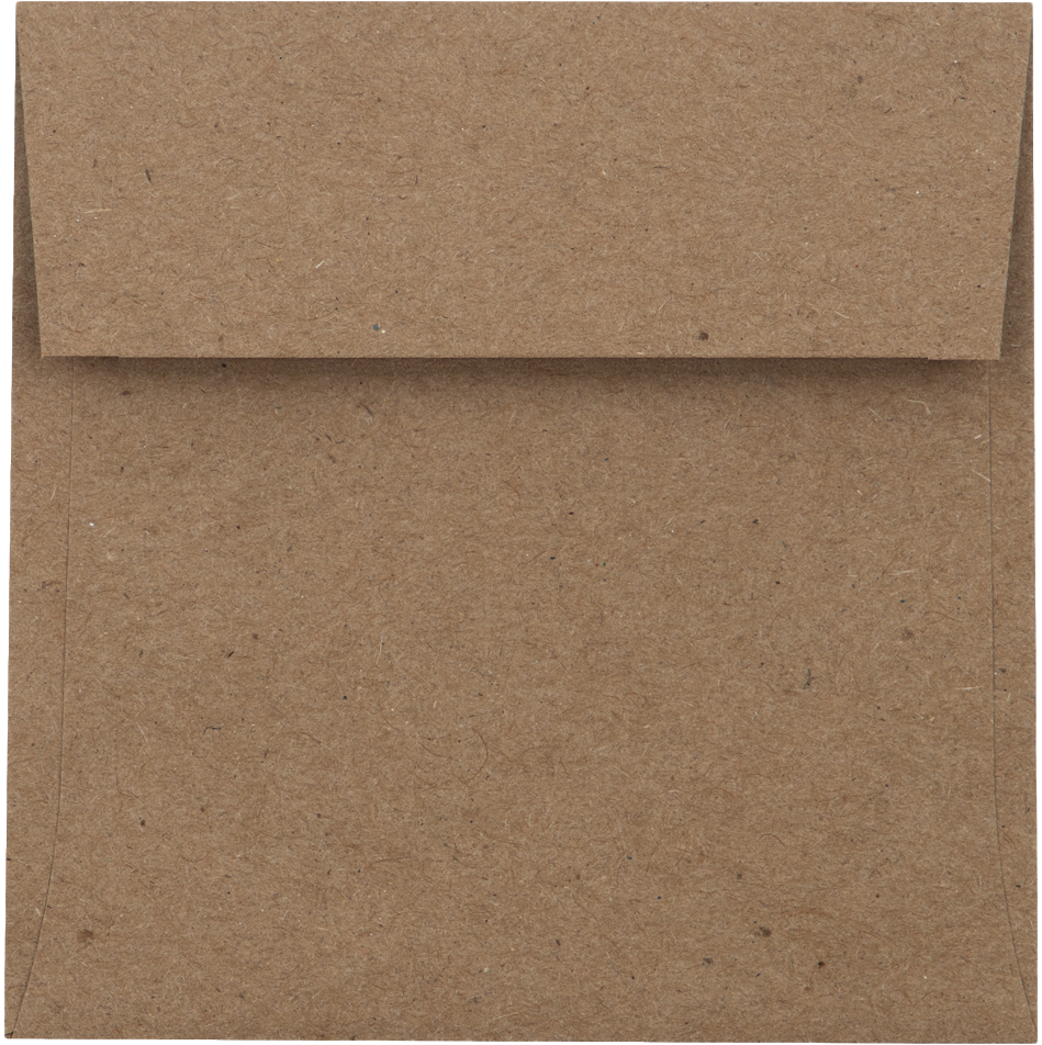 Grocery Bag 28lb 3 1/4 x 3 1/4 Square Envelopes with Peel & Seal