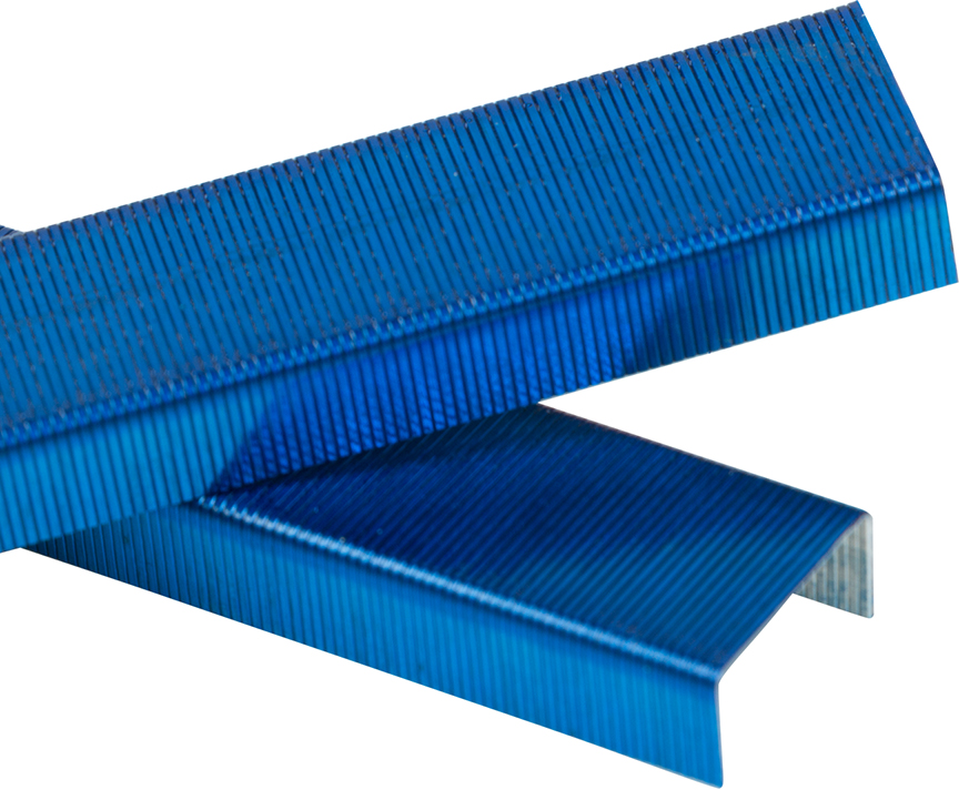 Blue Staples - 5,000 Box