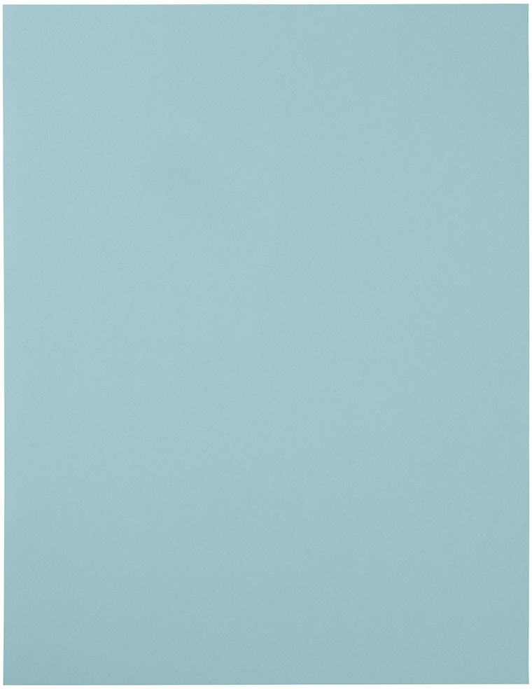 Baby Blue 8 1/2 x 11 Full Sheet Shipping Labels