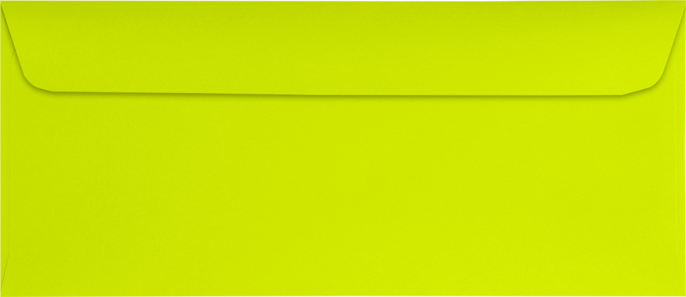 Wasabi Lime Green 32lb #10 All Purpose Window (4 1/8 x 9 1/2) with Peel & Seal