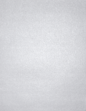 Silver Metallic 105lb 11 x 17 Cardstock