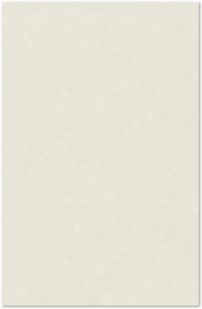 Natural White 100% Cotton 92lb 11 x 17 Cardstock