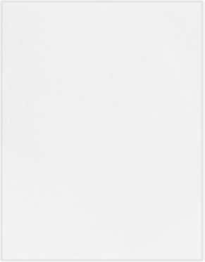White 100lb Cougar 11 x 17 Premium Cardstock