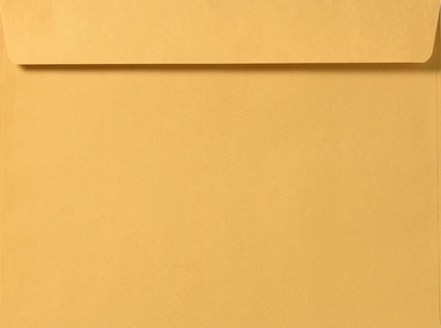 Brown Kraft 28lb 10 x 15 Booklet Envelopes