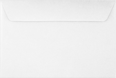 Tax Return 24lb 6 x 9 Booklet Envelopes