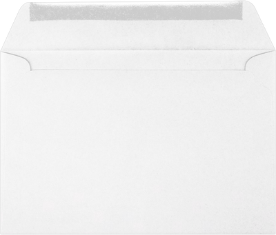 Tax Return 24lb 6 x 9 Booklet Envelopes