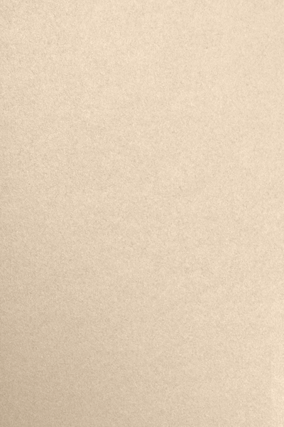 Light Brown Taupe Metallic 32lb 12 x 18 Paper