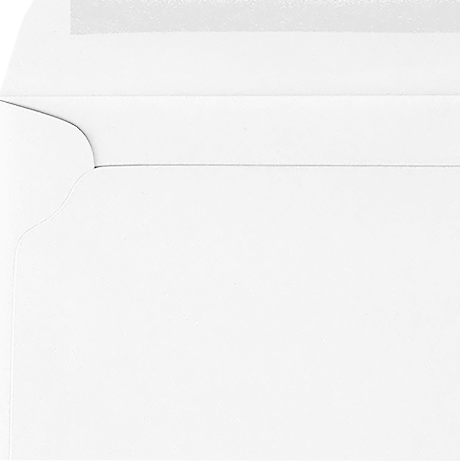 Patriotic 24lb 9 x 12 Booklet Envelopes