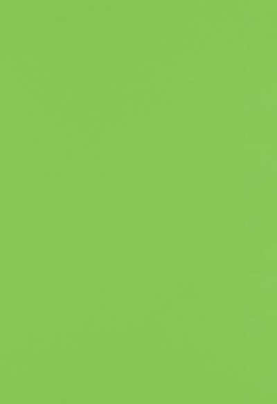 Limelight Green 100lb 13 x 19 Cardstock