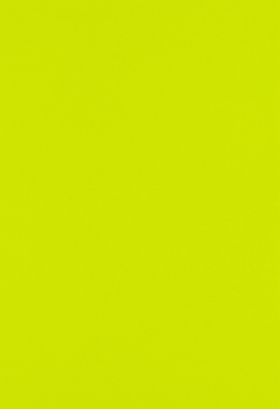 Wasabi Lime Green 100lb 13 x 19 Cardstock