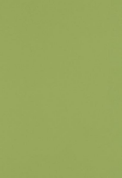 Olive Green 28lb 13 x 19 Paper