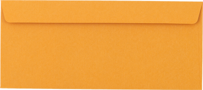 #11 Regular Envelopes (4 1/2 x 10 3/8) - Brown Kraft 28lb