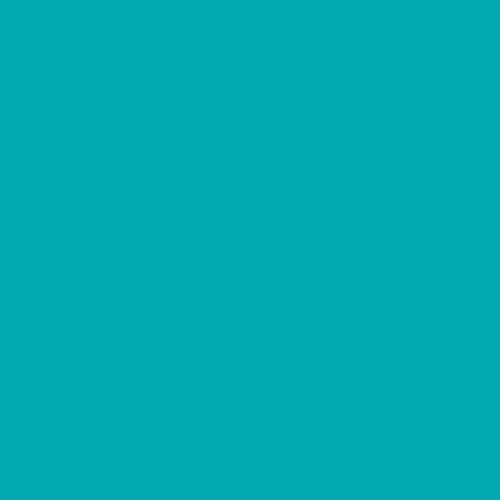 Turquoise Matte Bulk Wrapping Paper (834 Sq Ft)