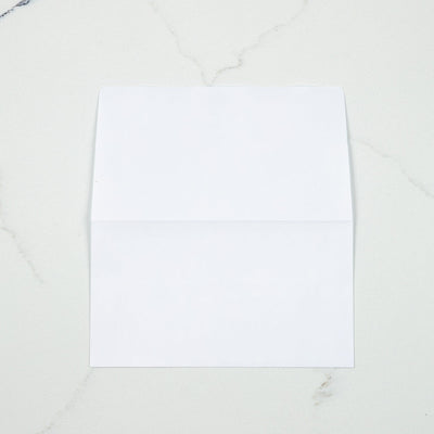 White 24lb Remittance Envelopes (3 5/8 x 6 1/2 Closed)