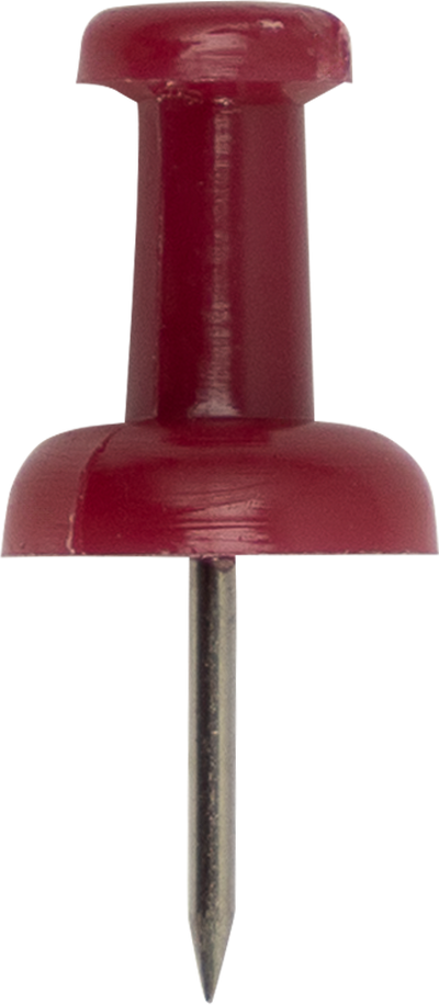 Pushpins - 100 Pack - Burgundy