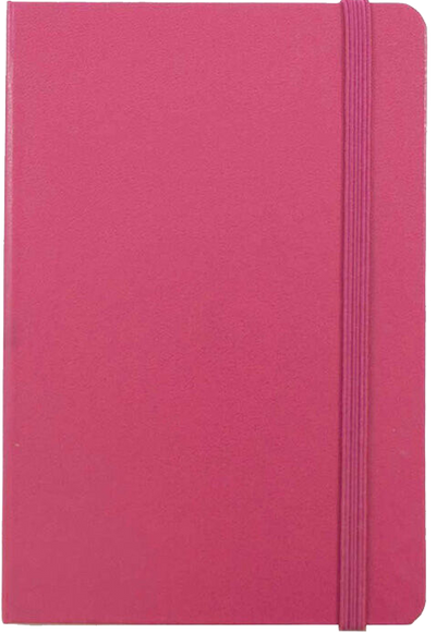 Pink Berry Travel Size 4 x 6 Notebooks (70 Dotted Pages)