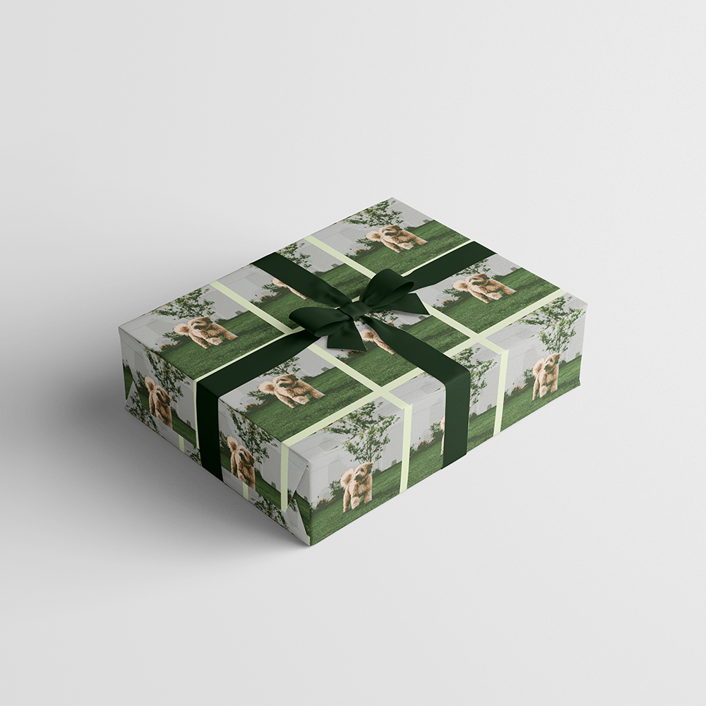 Custom Print Wrapping Paper Sheets 20" x 28" White Matte - 5 Pack