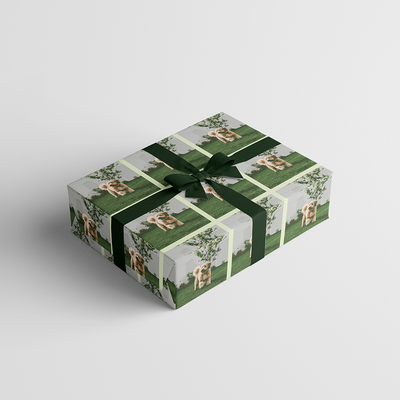 Custom Print Wrapping Paper 29 1/4" x 17 3/4' (43 Sq Ft) White Matte