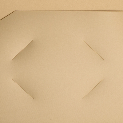 Gold 9 x 12 Plastic Heavy Duty Folders