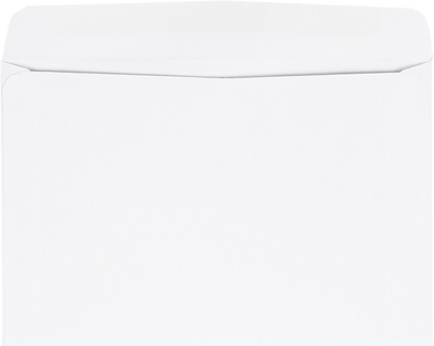 White 24lb 6 x 9 Booklet Envelopes