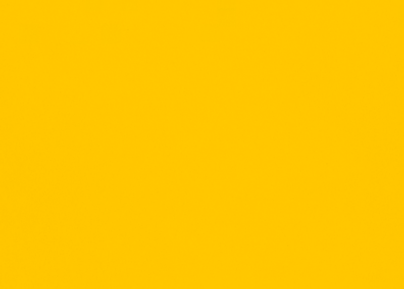Blank Note Cards in Sunflower Yellow | 5x7 100lb. Flat Card - Envelopes