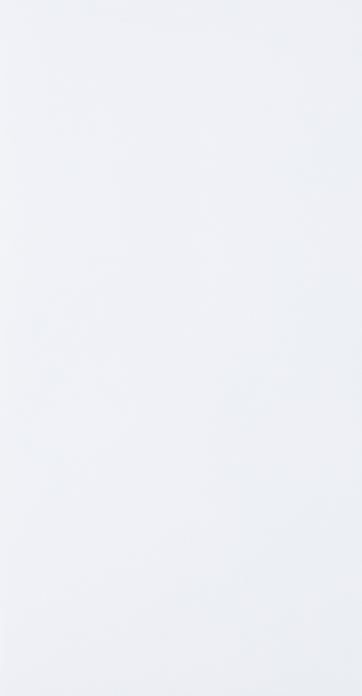 White 28lb 6 x 11 1/2 Policy Envelopes with Peel & Seal