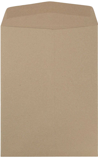 Grocery Bag 28lb 10 x 13 Open End Envelopes