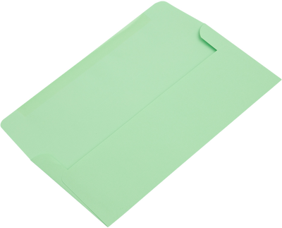 Pastel Green 24lb #10 Regular Envelopes (4 1/8 x 9 1/2)