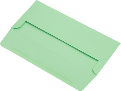 Pastel Green 24lb #10 Regular Envelopes (4 1/8 x 9 1/2)
